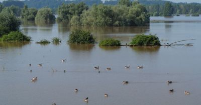 W zlewni Nysy Kłodzkiej rozwiązania przeciwpowodziowe muszą być kompleksowe